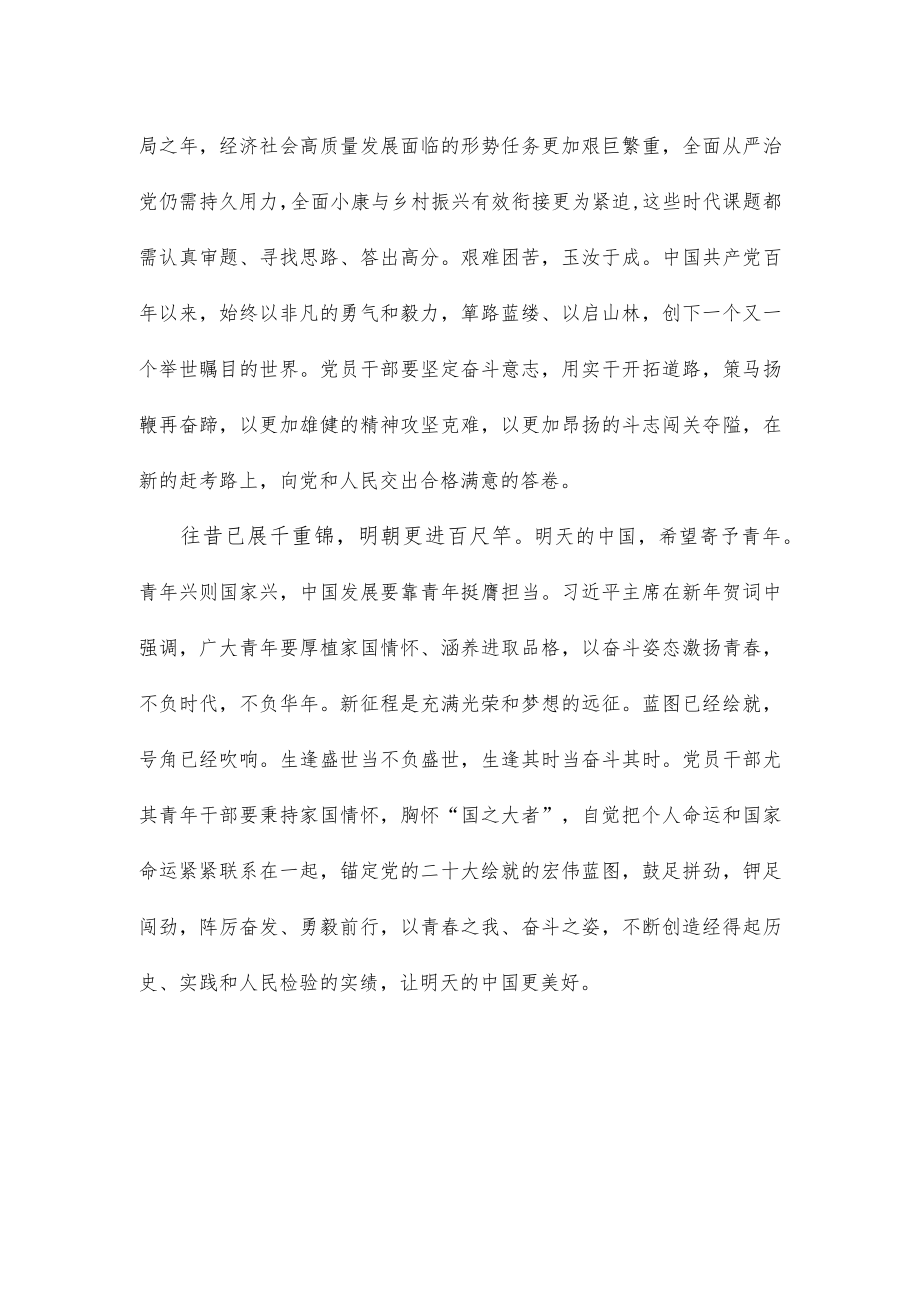 学习领会二〇二三年新年贺词心得体会.docx_第2页