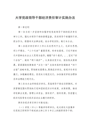 大学党政领导干部经济责任审计实施办法.docx