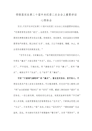 领悟落实在第二十届中央纪委二次全会上重要讲话心得体会.docx