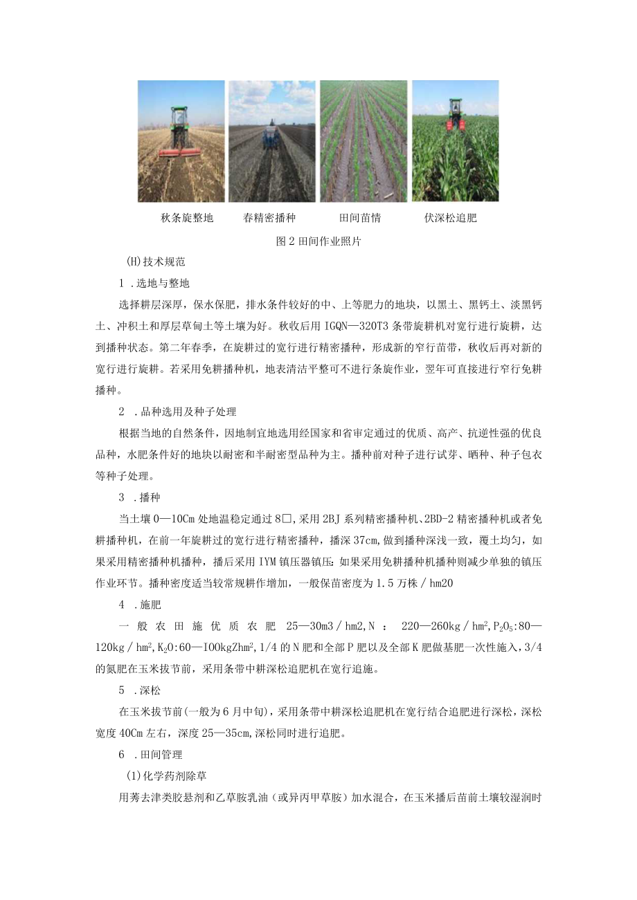 玉米宽窄行交替休闲种植技术.docx_第2页