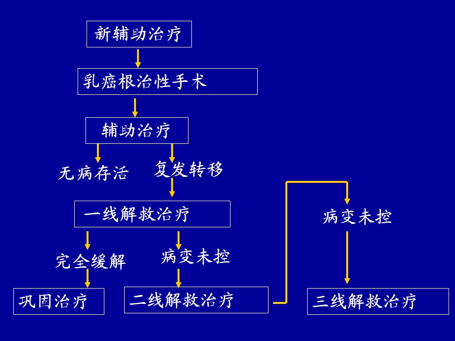 乳腺癌内分泌治疗的策略.ppt_第3页