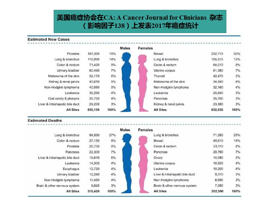 乳腺癌的筛查.ppt_第2页