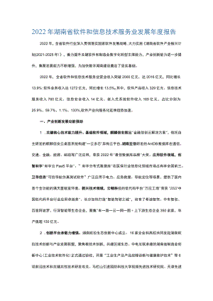 2022年湖南省软件和信息技术服务业发展年度报告.docx