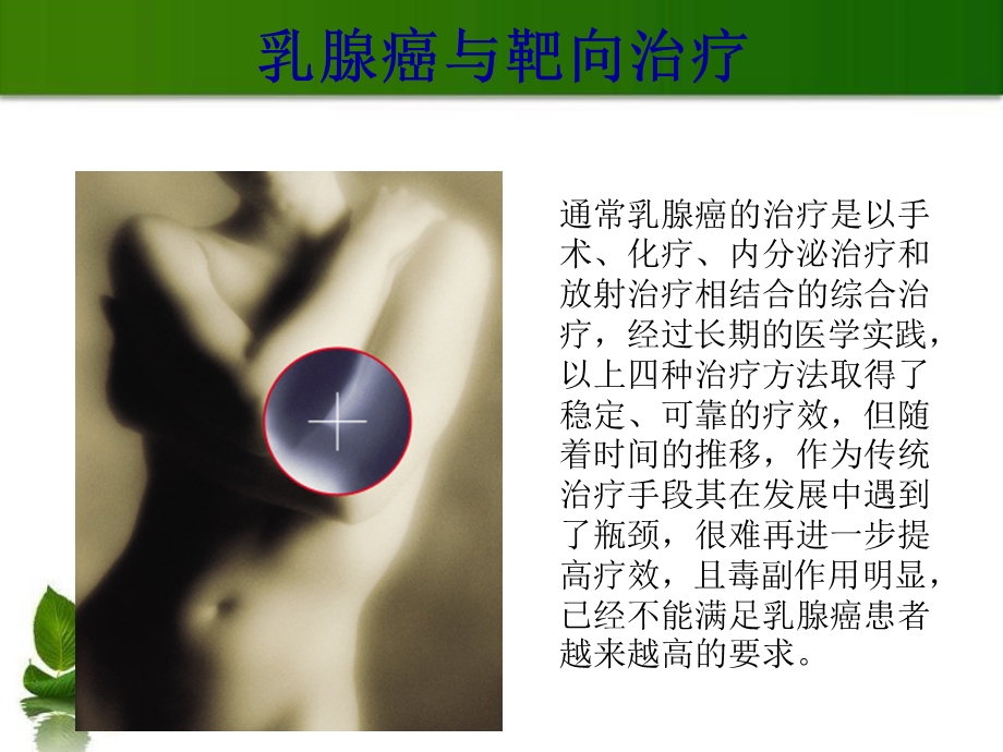 乳腺癌的靶向治疗.ppt_第3页