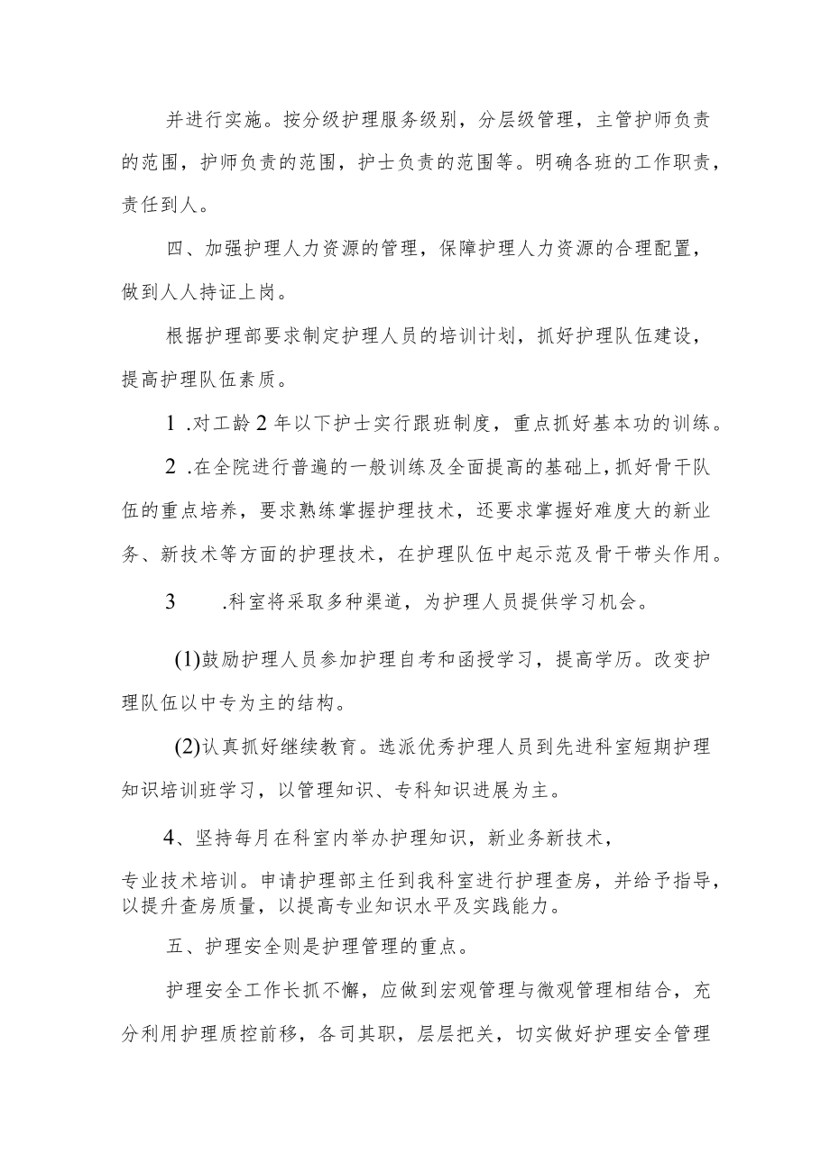 医院护理部年度工作计划一.docx_第2页