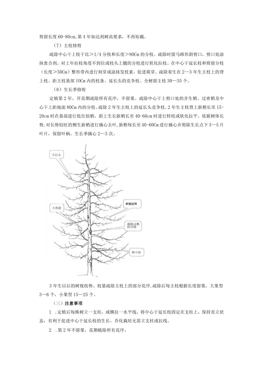 果树主干型整形修剪技术.docx_第2页