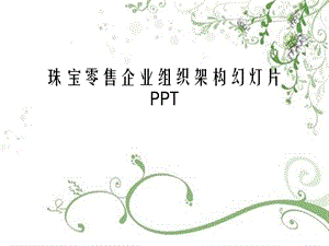 珠宝零售企业组织架构幻灯片PPT.ppt