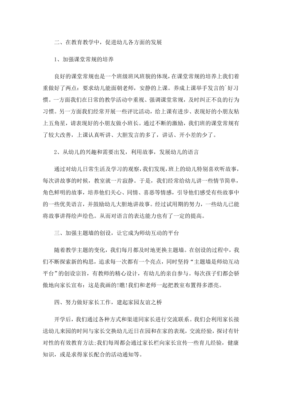 教师试用期个人总结怎么写.doc_第2页