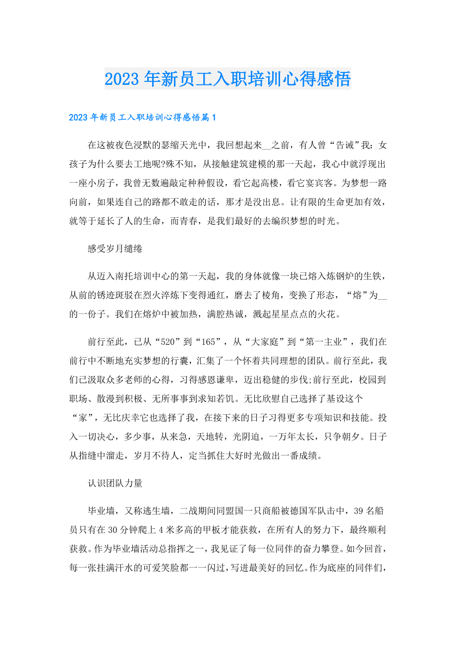 2023年新员工入职培训心得感悟.doc_第1页