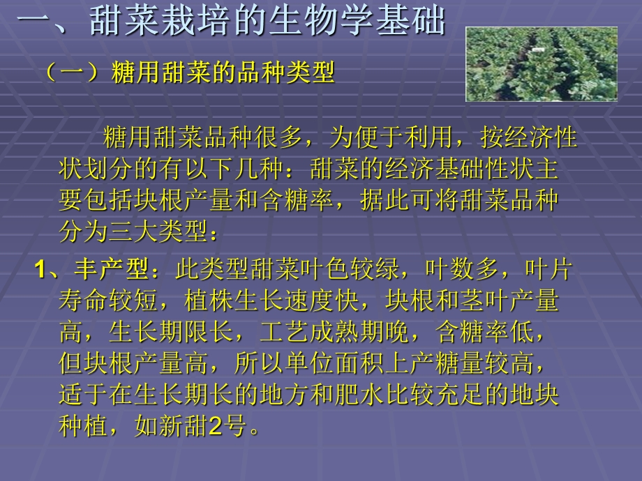 甜菜栽培的生物学基础与栽培技术.ppt_第2页