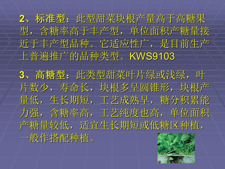 甜菜栽培的生物学基础与栽培技术.ppt_第3页