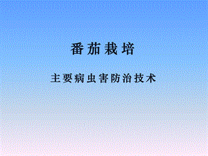 番茄病虫害防治.ppt