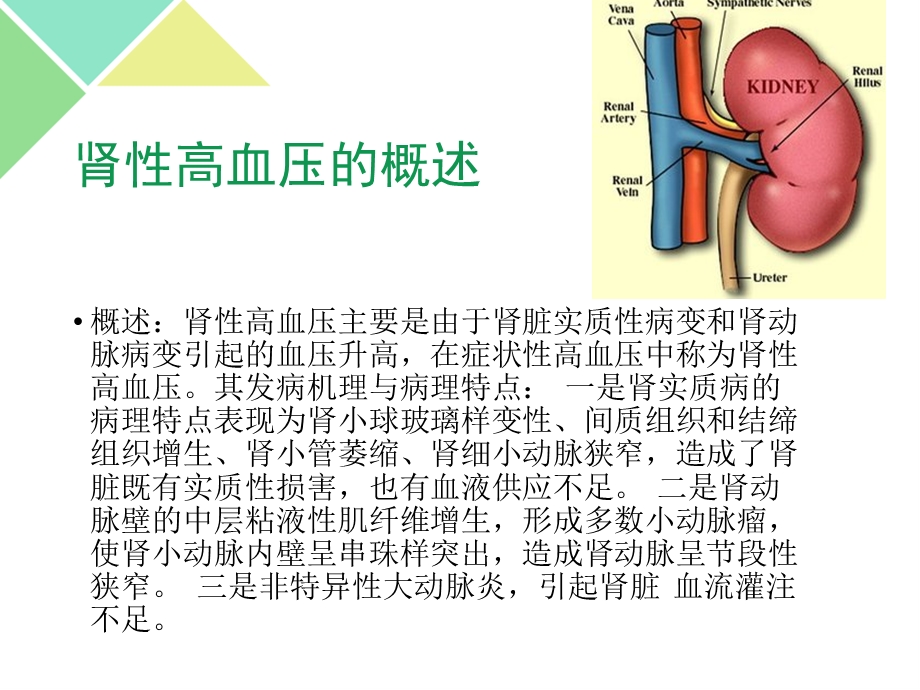 肾性高血压的药物治疗.ppt_第3页