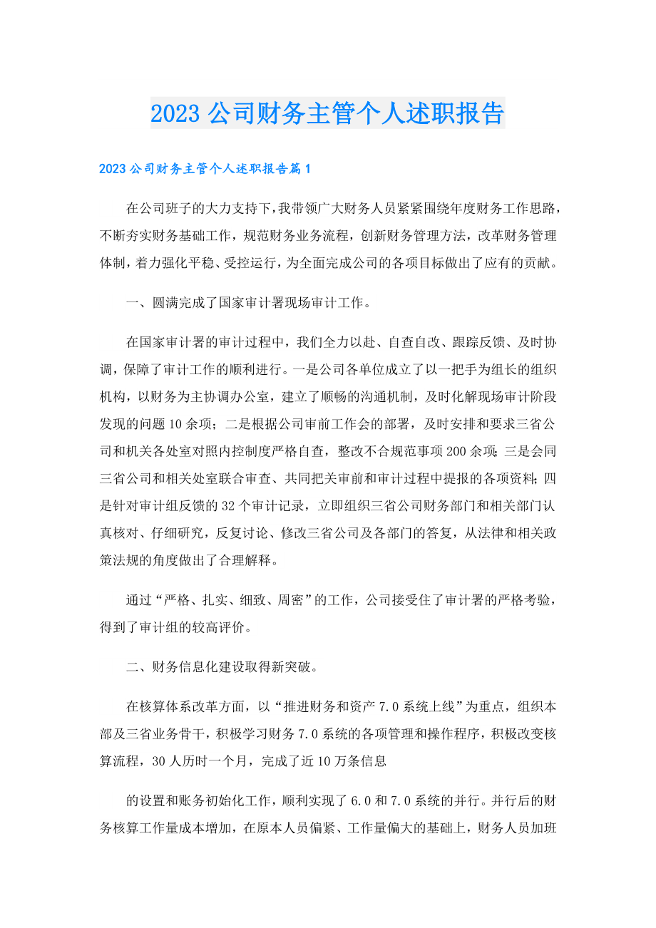 2023公司财务主管个人述职报告.doc_第1页