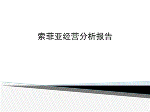 索菲亚经营分析报告.ppt