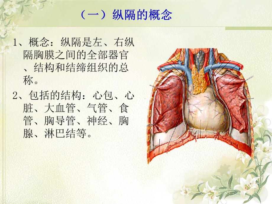 纵隔解剖及常见纵隔肿瘤影像学诊断.ppt_第3页