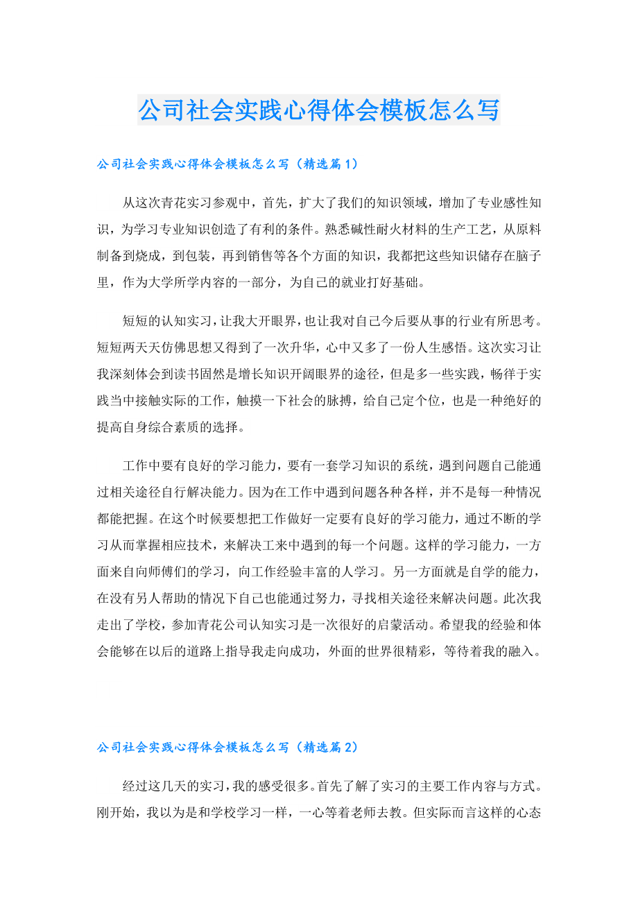 公司社会实践心得体会模板怎么写.doc_第1页