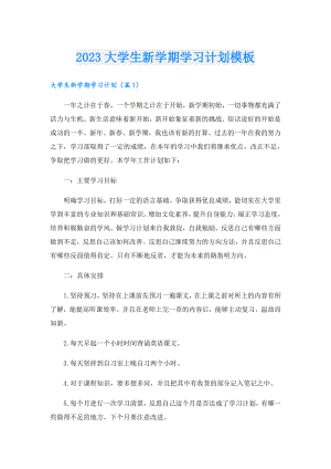 2023大学生新学期学习计划模板.doc