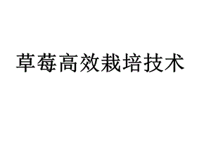 草莓高效栽培技术.ppt