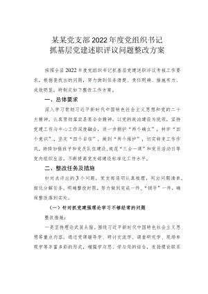 某某党支部2022年度党组织书记抓基层党建述职评议问题整改方案.docx