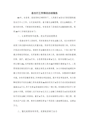 县支行工作情况总结报告.docx