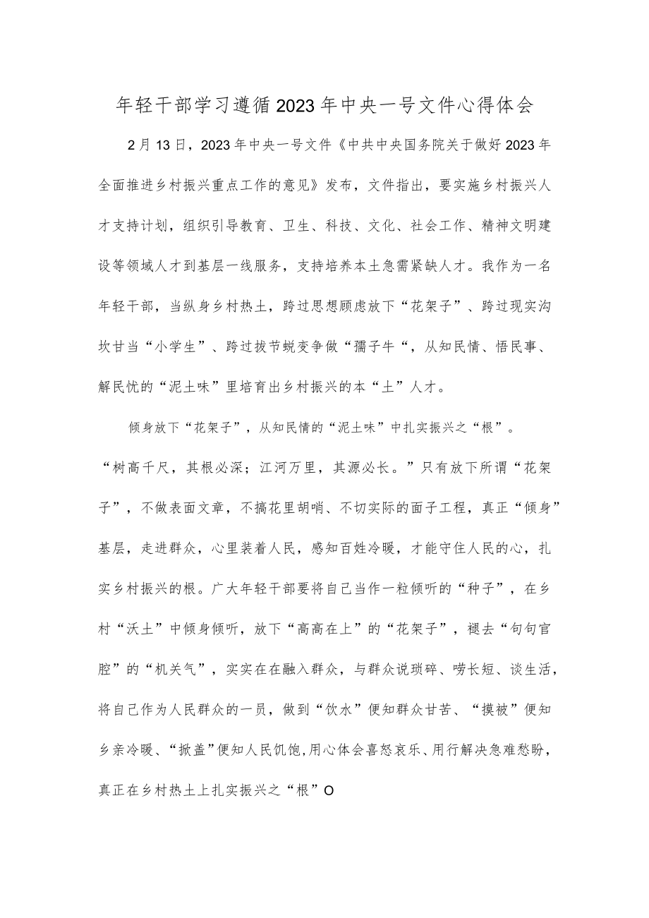 年轻干部学习遵循2023年中央一号文件心得体会.docx_第1页