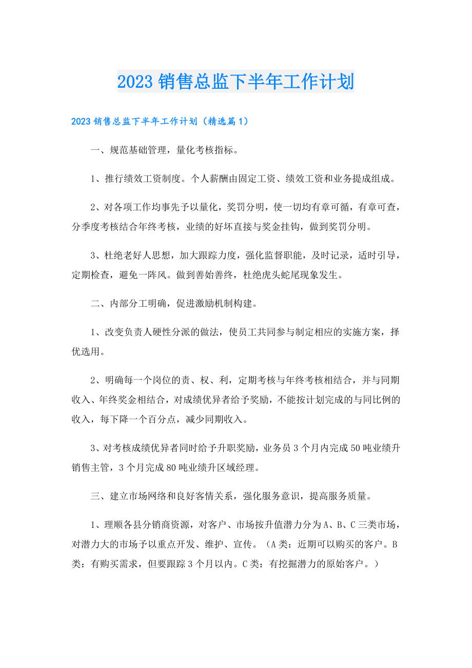 2023销售总监下半年工作计划.doc_第1页