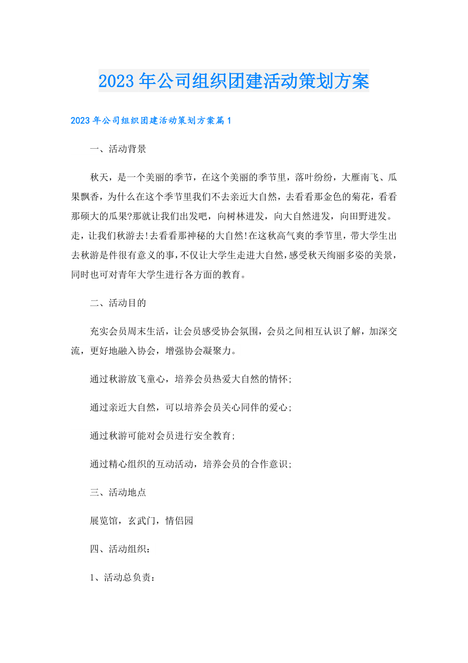 2023年公司组织团建活动策划方案.doc_第1页