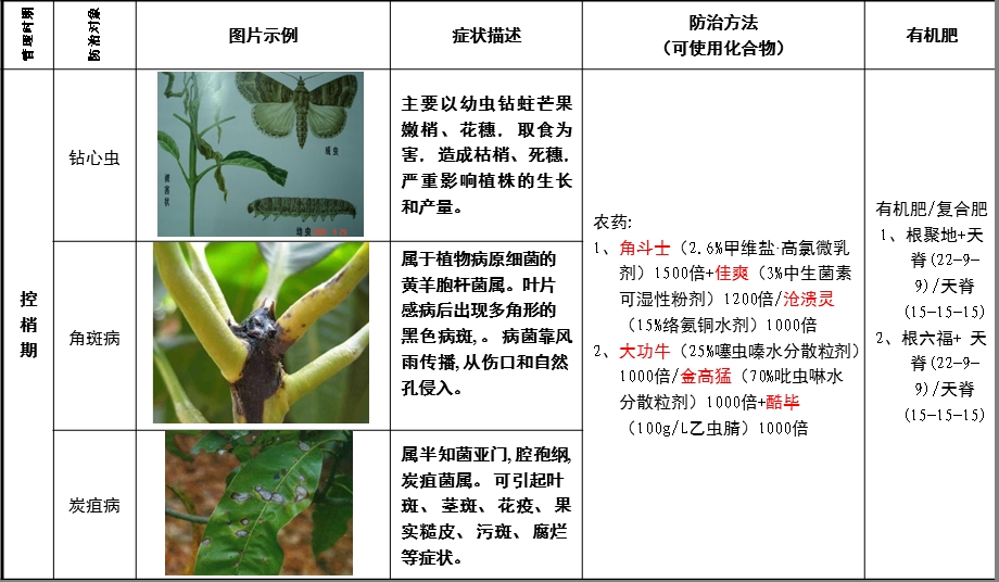 芒果病虫害防治手册.ppt_第3页