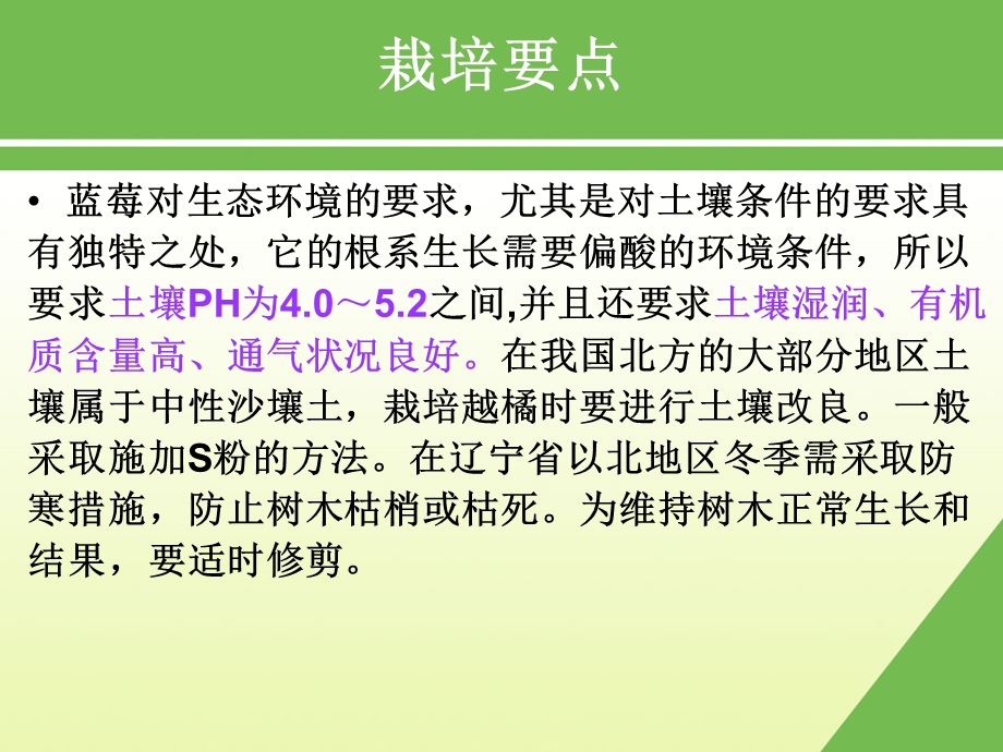 蓝莓栽培技术.ppt_第2页