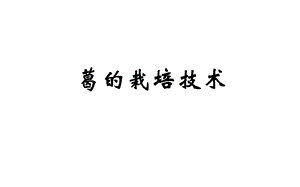 葛的栽培技术.ppt