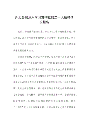 外汇分局深入学习贯彻党的二十大精神情况报告.docx