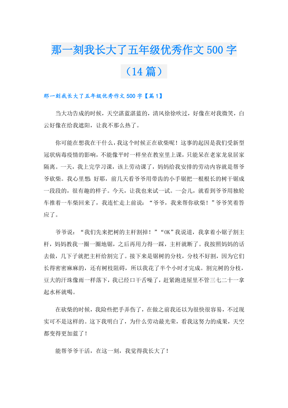 那一刻我长大了五年级优秀作文500字（14篇）.doc_第1页