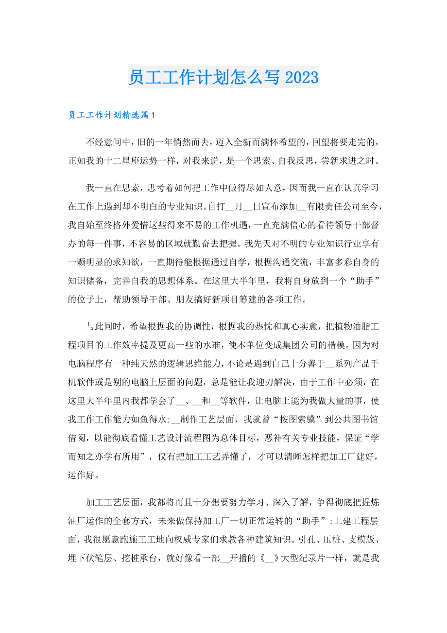 员工工作计划怎么写2023.doc_第1页