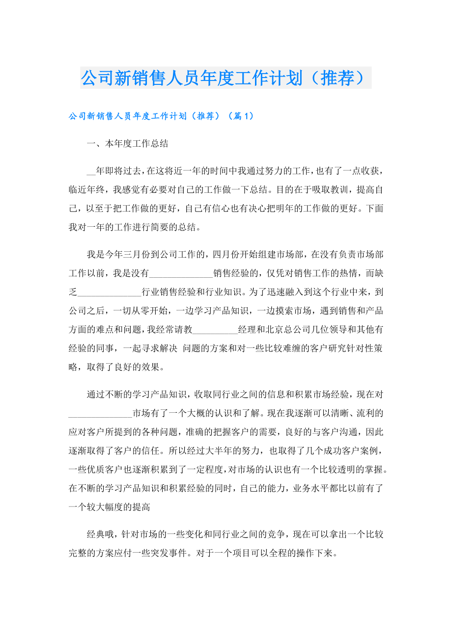 公司新销售人员工作计划（推荐）.doc_第1页