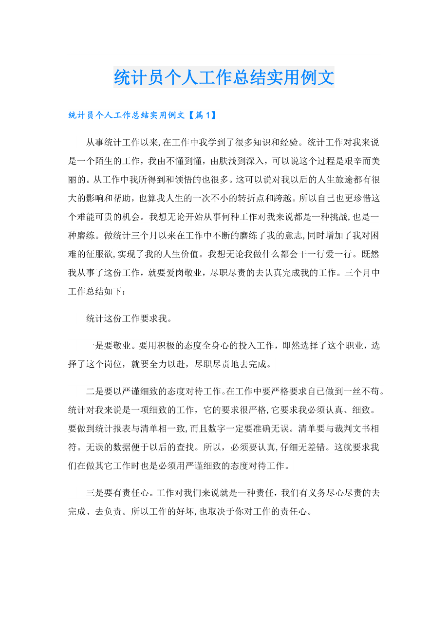 统计员个人工作总结实用例文.doc_第1页