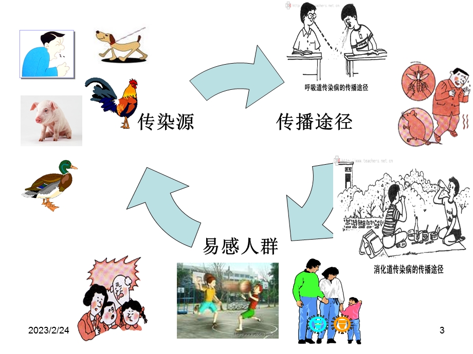 预防传染病分析.ppt_第3页