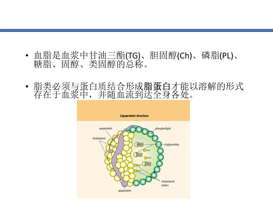 高血压患者血脂的处理.ppt_第2页