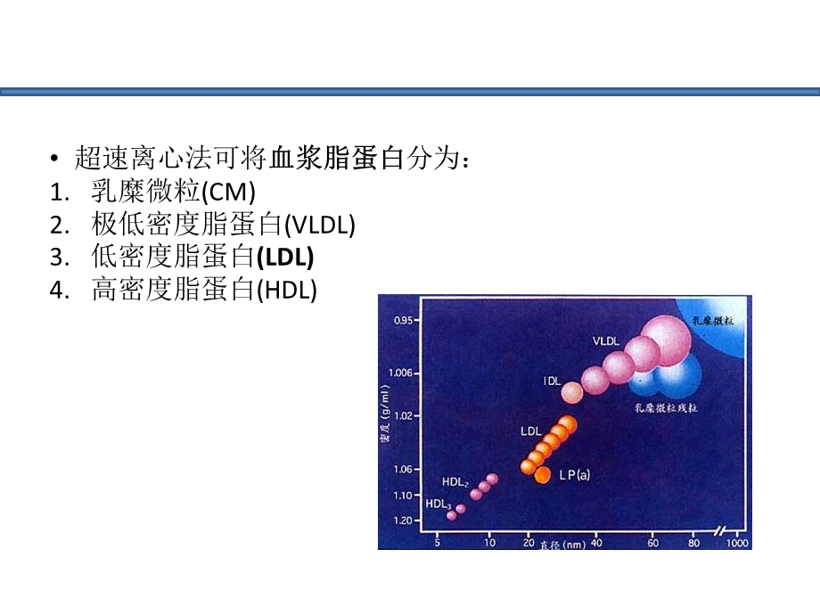 高血压患者血脂的处理.ppt_第3页