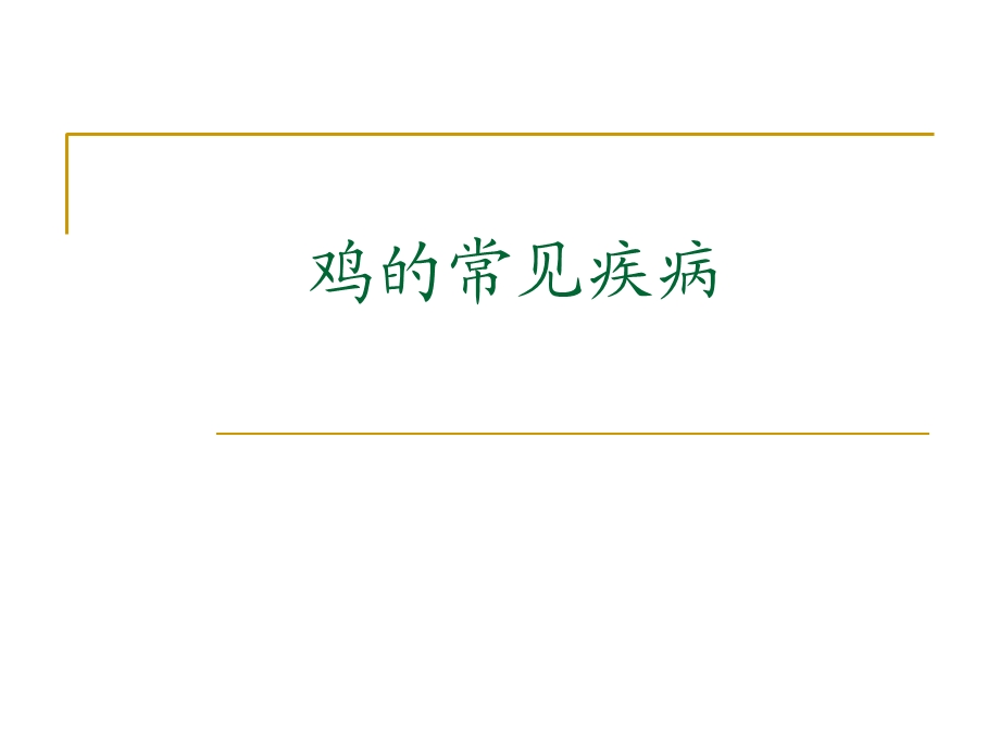 鸡常见传染病.ppt_第1页