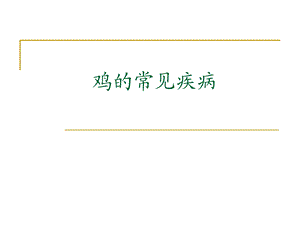 鸡常见传染病.ppt