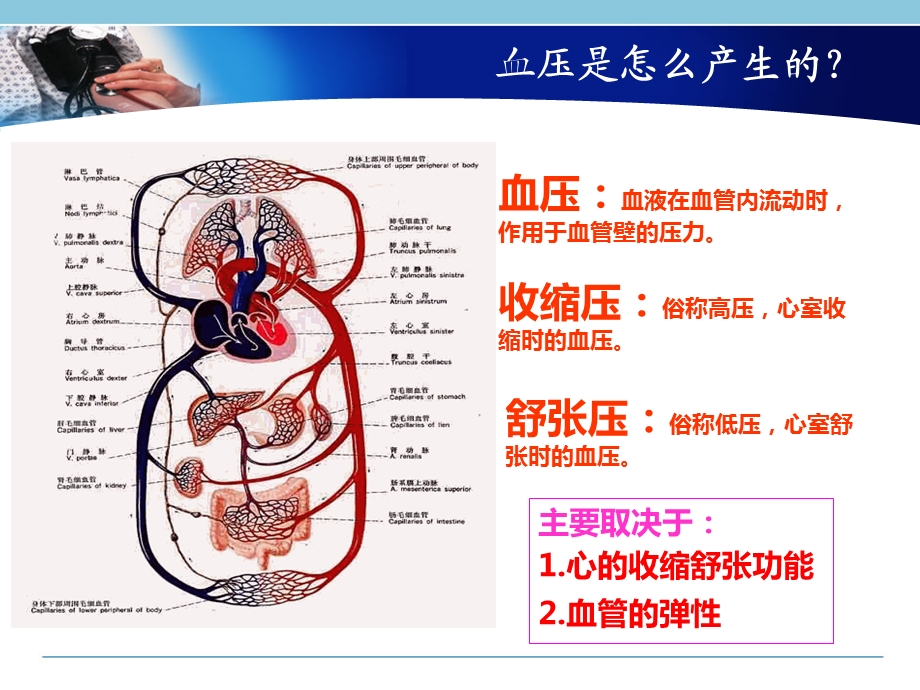 高血压基础知识合集.ppt_第3页