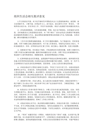 组织生活会相互批评意见.docx