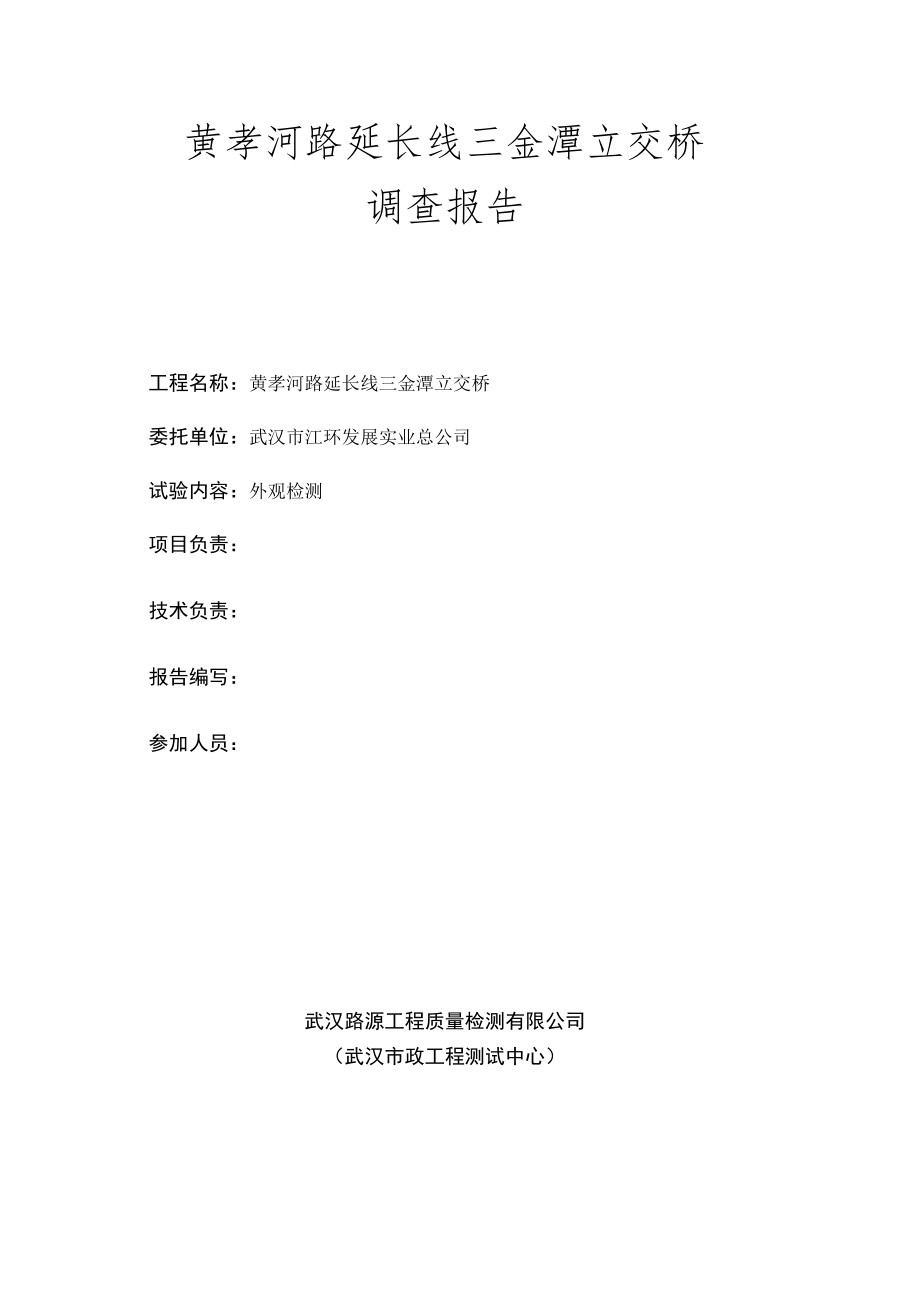 黄孝河延长线三金潭高架桥调查检测报告(U盘改).docx_第2页