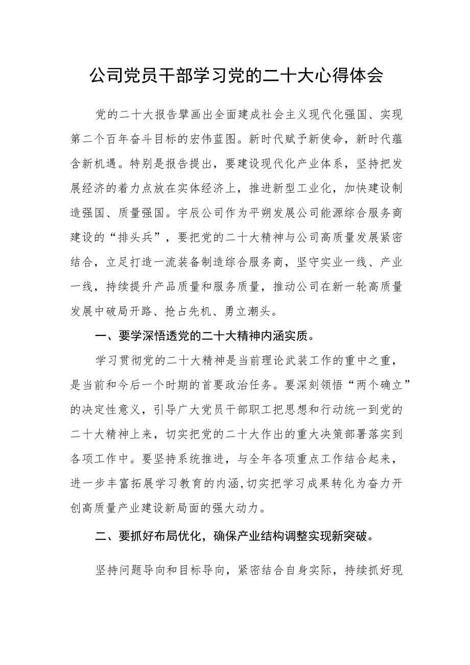 公司党员干部学习党的二十大心得体会.docx_第1页