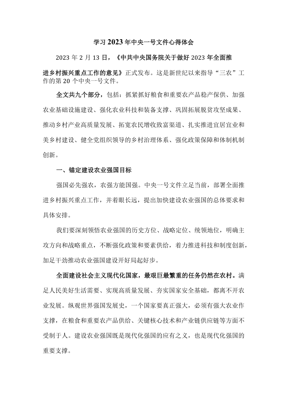 学习2023年中央一号文件心得体会二.docx_第1页