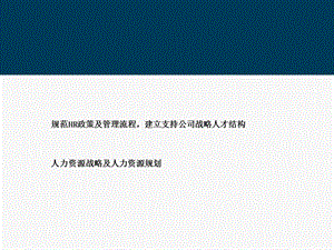 【实例】某软件公司人力资源战略及人力资源规划(ppt45).ppt