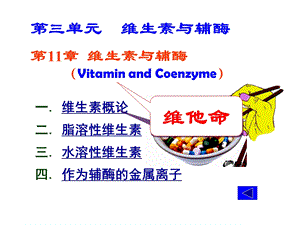 《生物化学》维生素与辅酶.ppt