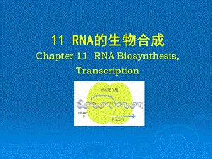 11茶叶生物化学.ppt