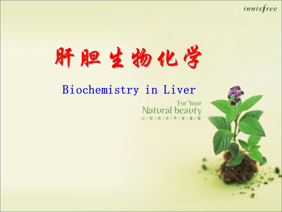 《生物化学：肝胆生物化学》.ppt_第1页